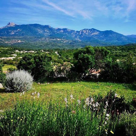 Appartements Avec Jardin Entre Porto-Vecchio Et Figari - Casa Mattiste Sotta Zewnętrze zdjęcie