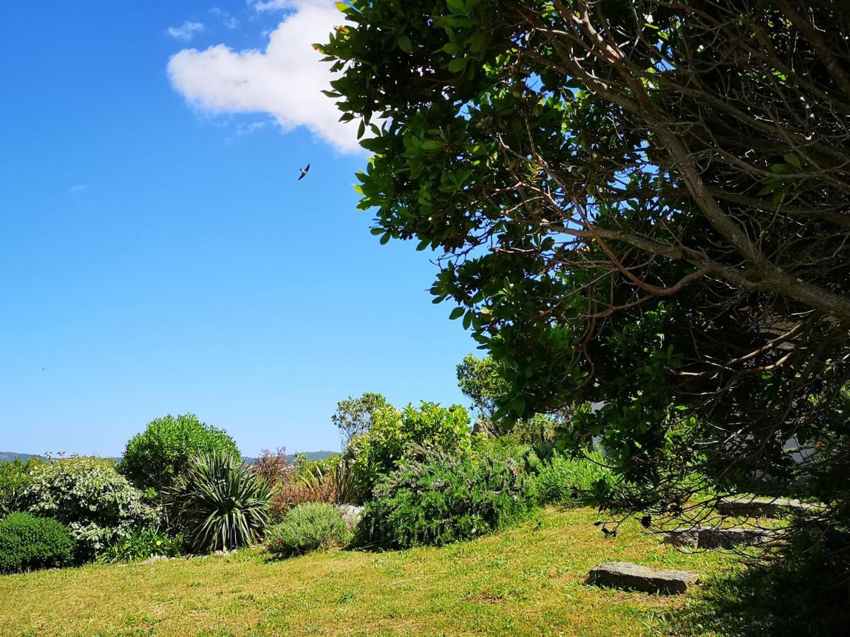 Appartements Avec Jardin Entre Porto-Vecchio Et Figari - Casa Mattiste Sotta Zewnętrze zdjęcie